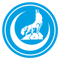 ülkü ocaklarının